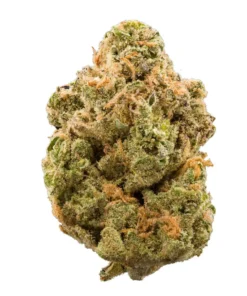 Buy Stardawg Strain Online in the US