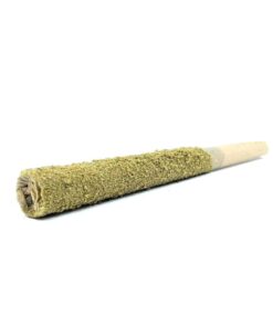 Buy Thunder Joint – Larry Bird Online US