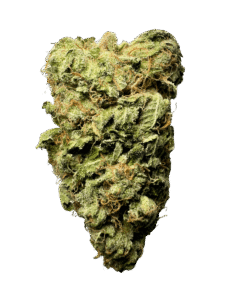 Trainwreck